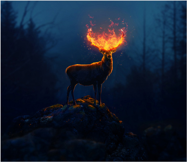 Photoshop合成头顶火焰燃烧效果的森林鹿王场景-易看设计 - 专业设计师平台