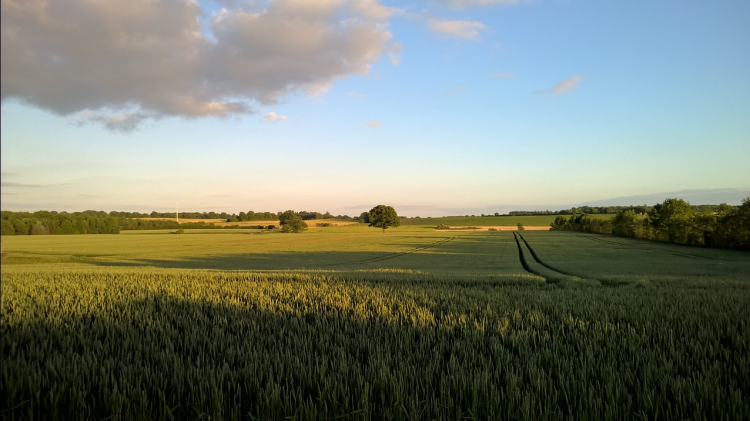 从零开始学后期:高手免费后期课堂之绿色风景的处理方法总结-易看设计 - 专业设计师平台